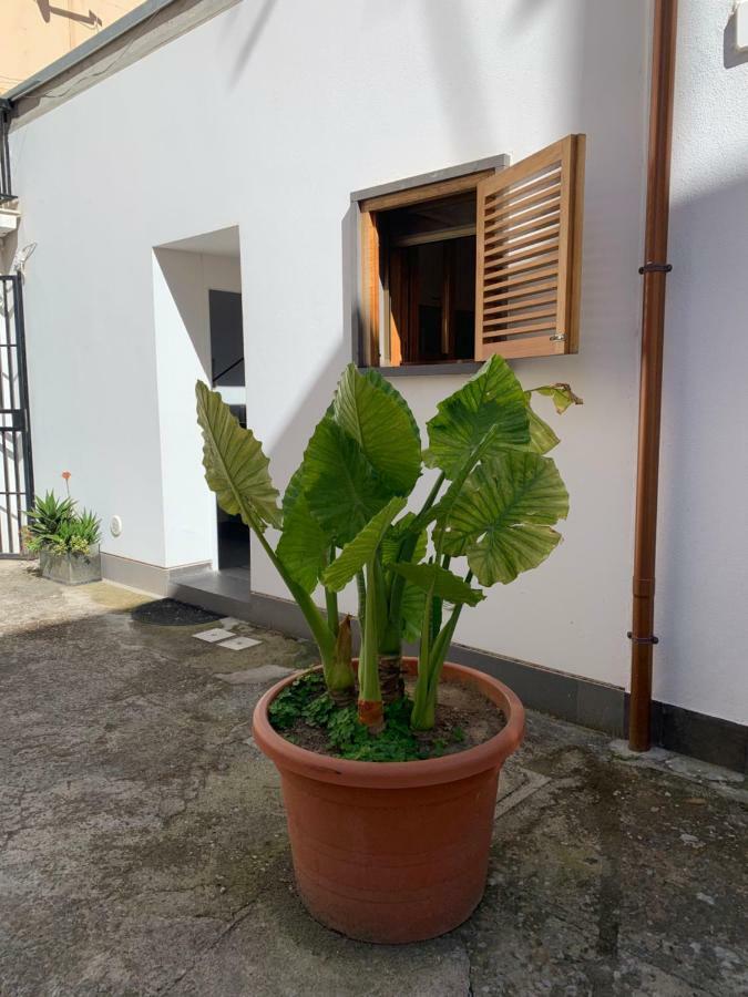 Ferienwohnung Arco 37 Alghero Exterior foto